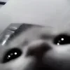 🥹 Эмодзи «Сарка Тгк» для Telegram