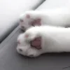 🐾 Эмодзи «Сарка Тгк» для Telegram