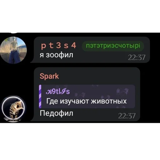 👍 Стикер «Кетлис жирная» для Telegram