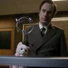 🧸 Эмодзи «#1 Saul Goodman» для Telegram