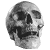 🗿 Эмодзи «🗿 Набор эмоджи со скульптурами» для Telegram