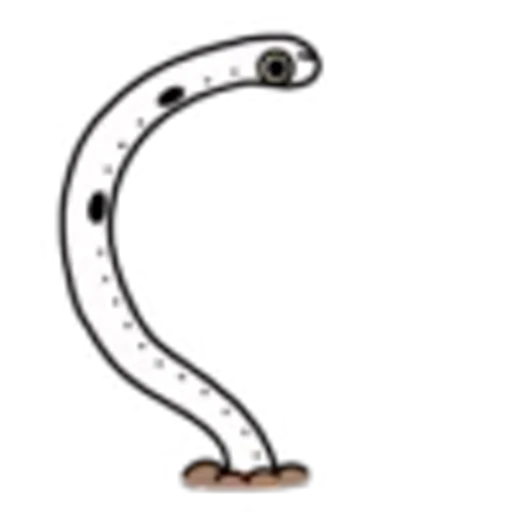 ⭕️ Эмодзи «Sea Eel» для Telegram