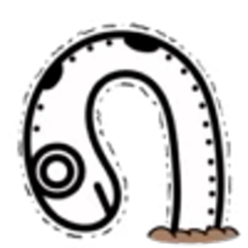 🪸 Эмодзи «Sea Eel» для Telegram