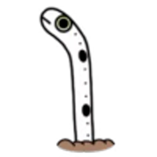 🪸 Эмодзи «Sea Eel» для Telegram