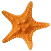 🐠 Эмодзи «Sea Emoji» для Telegram