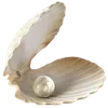 🐠 Эмодзи «Sea Emoji» для Telegram