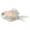 🐠 Эмодзи «Sea Emoji» для Telegram