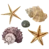 🐠 Эмодзи «Sea Emoji» для Telegram