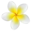 🐠 Эмодзи «Sea Emoji» для Telegram
