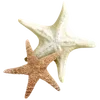 🐠 Эмодзи «Sea Emoji» для Telegram