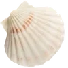 🐠 Эмодзи «Sea Emoji» для Telegram