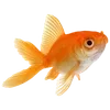 🐠 Эмодзи «Sea Emoji» для Telegram