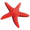 🐠 Эмодзи «Sea Emoji» для Telegram