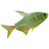 🐠 Эмодзи «Sea Emoji» для Telegram