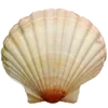 🐠 Эмодзи «Sea Emoji» для Telegram