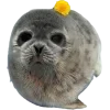 🤩 Эмодзи «Seals» для Telegram