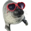 🤩 Эмодзи «Seals» для Telegram