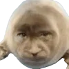 🤩 Эмодзи «Seals» для Telegram