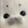 🤩 Эмодзи «Seals» для Telegram