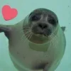 🤩 Эмодзи «Seals» для Telegram