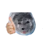 🤩 Эмодзи «Seals» для Telegram