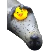 🤩 Эмодзи «Seals» для Telegram