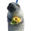 🤩 Эмодзи «Seals» для Telegram