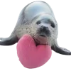 ❤️ Эмодзи «Seals» для Telegram