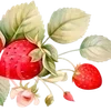 🌟 Эмодзи «cherry vibe» для Telegram