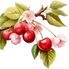 🌟 Эмодзи «cherry vibe» для Telegram