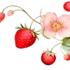 🌟 Эмодзи «cherry vibe» для Telegram
