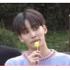 🌞 Эмодзи «Seventeen» для Telegram