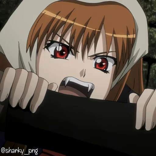 🤬 Стикер «Spice and Wolf» для Telegram