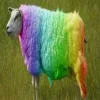 🤩 Эмодзи «Sheeps» для Telegram
