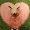 🤩 Эмодзи «Sheeps» для Telegram