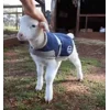 🤩 Эмодзи «Sheeps» для Telegram