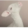 🤩 Эмодзи «Sheeps» для Telegram
