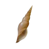 🤩 Эмодзи «Shells» для Telegram