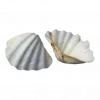 🤩 Эмодзи «Shells» для Telegram