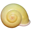 🤩 Эмодзи «Shells» для Telegram