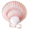 🤩 Эмодзи «Shells» для Telegram