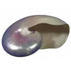 🤩 Эмодзи «Shells» для Telegram