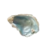 🤩 Эмодзи «Shells» для Telegram