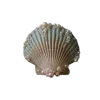 🤩 Эмодзи «Shells» для Telegram