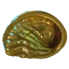 🤩 Эмодзи «Shells» для Telegram