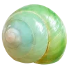 🤩 Эмодзи «Shells» для Telegram