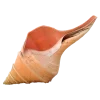 🤩 Эмодзи «Shells» для Telegram