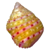 🤩 Эмодзи «Shells» для Telegram