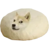 🫠 Эмодзи «Shibainydogefb» для Telegram