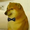 🎩 Эмодзи «Shibainydogefb» для Telegram
